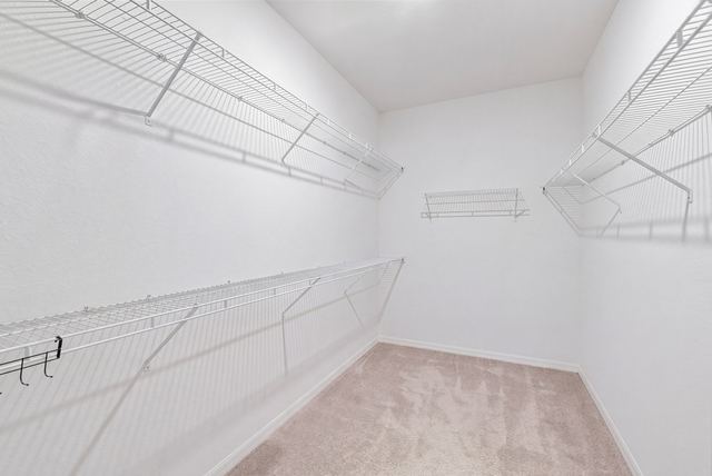 Primary walk-in closet